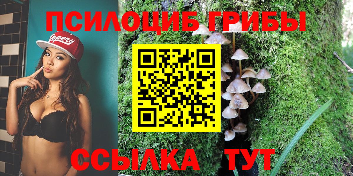 Псилоцибиновые грибы мицелий  Вход с VPN  Воркута  Галлюциногенные грибы Psilocybine cubensis 